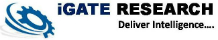 iGATE Research 